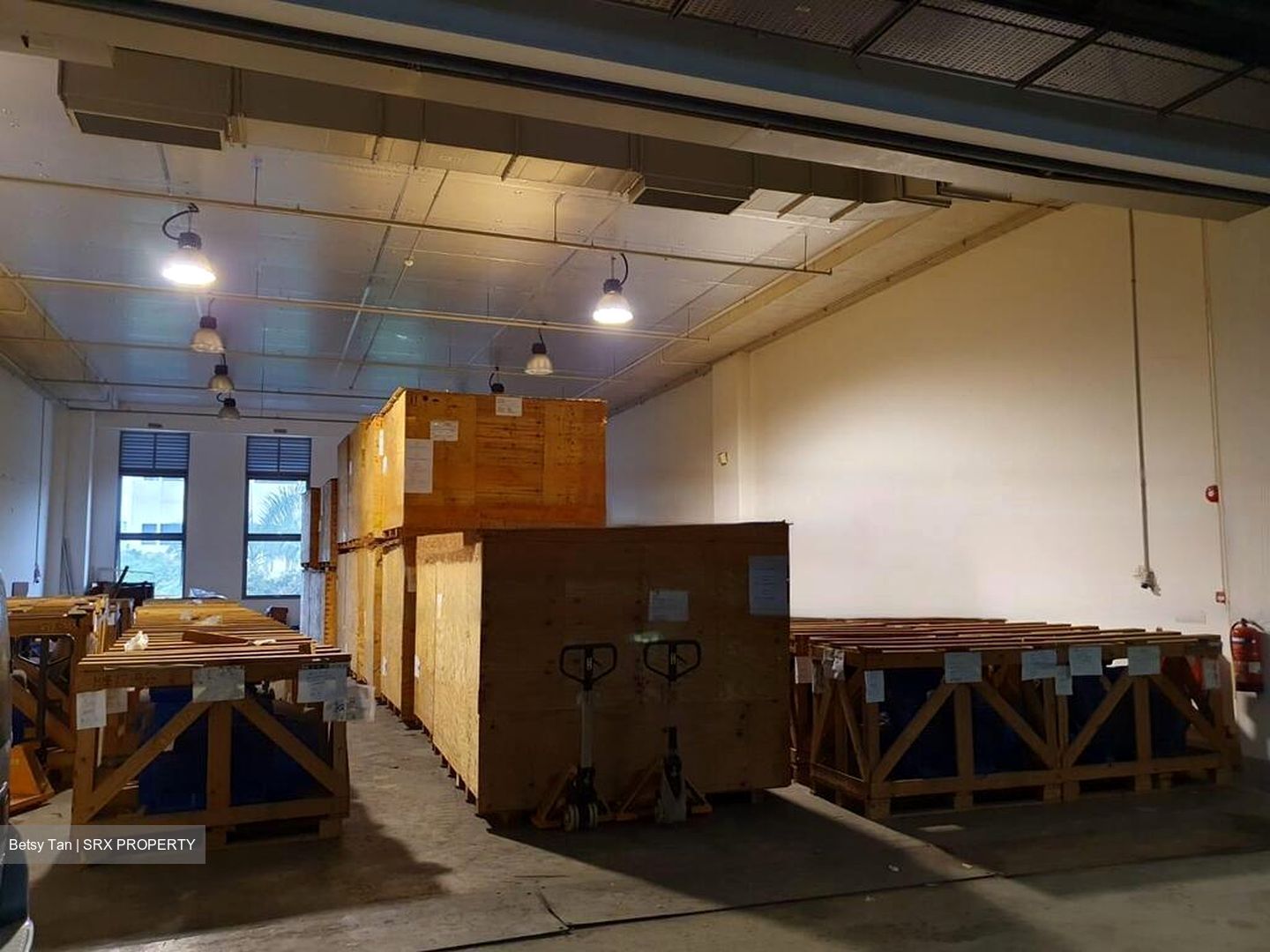 Westlink One (D22), Factory #494423251